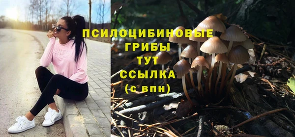 кокс Алексин