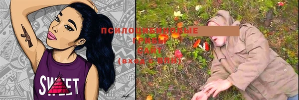 шишки Алзамай